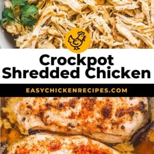 crockpot shredded chicken pinterest