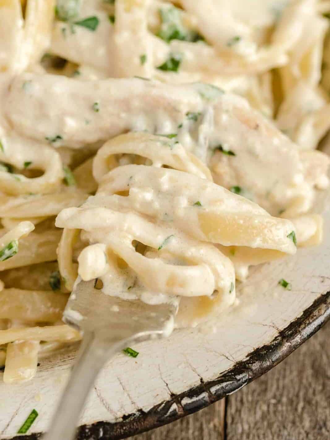 chicken alfredo on a fork up close picture